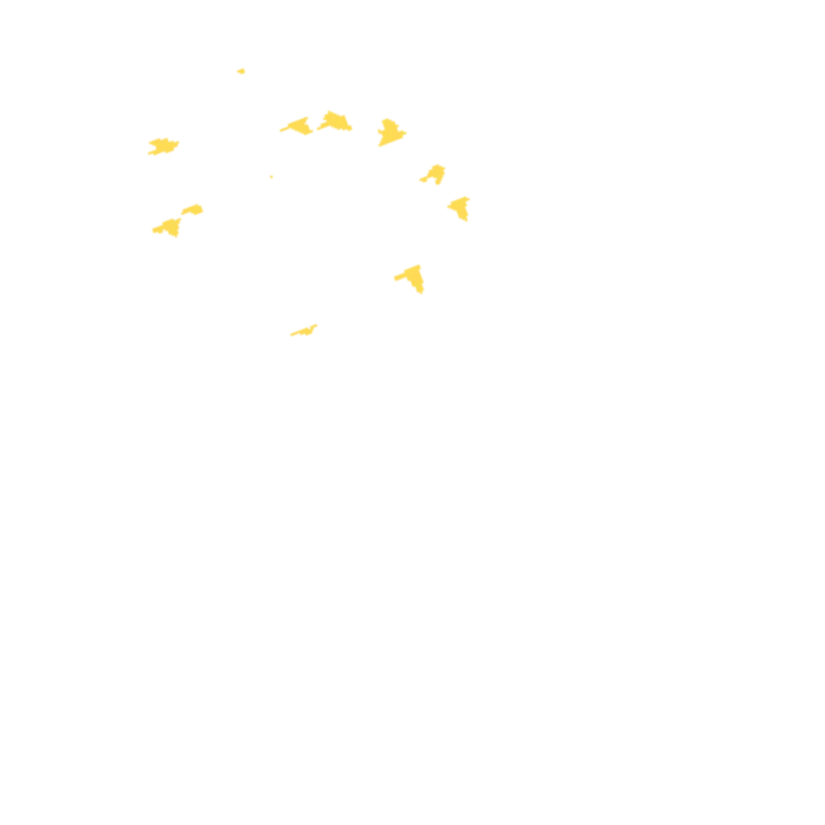 birds in flight